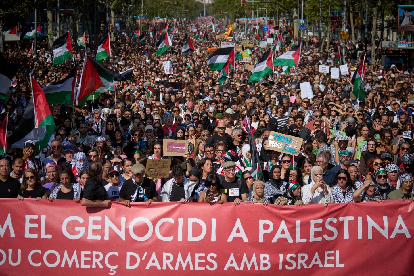 Ceasefire is Just a Pause – Real Peace Needs Palestinian Freedom