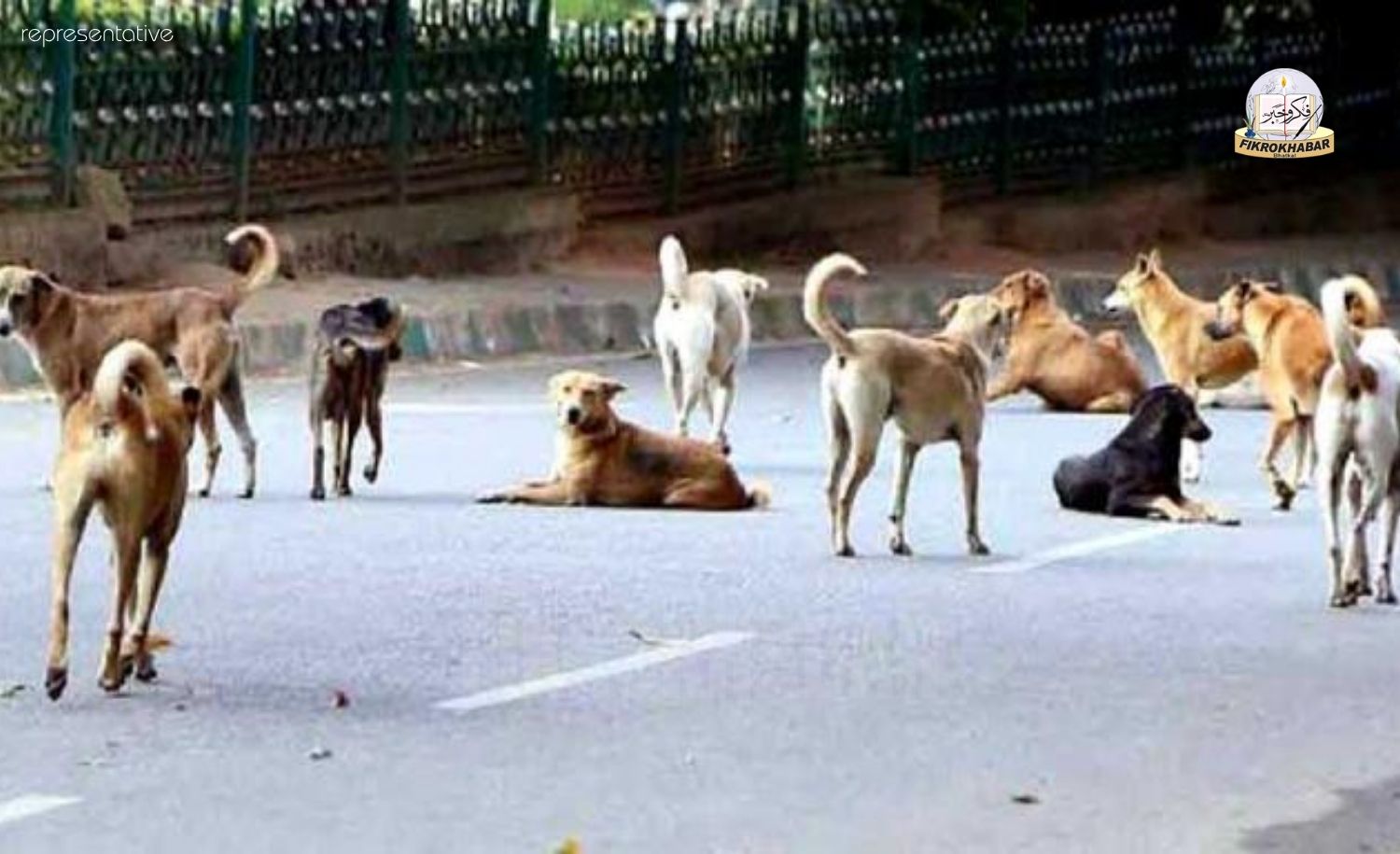 18 Month Old Girl Mauled to Death by Stray Dogs in Karnataka’s Raichur
