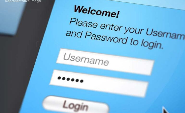 Tech Giants Push Beyond Passwords for Safer Online Security