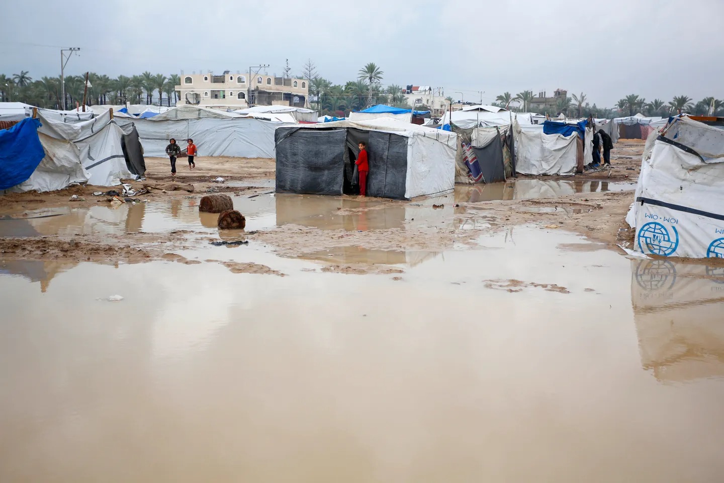 Heavy Rains Kill at Least 10 in Gaza Amid Dire Humanitarian Crisis, WHO Reports