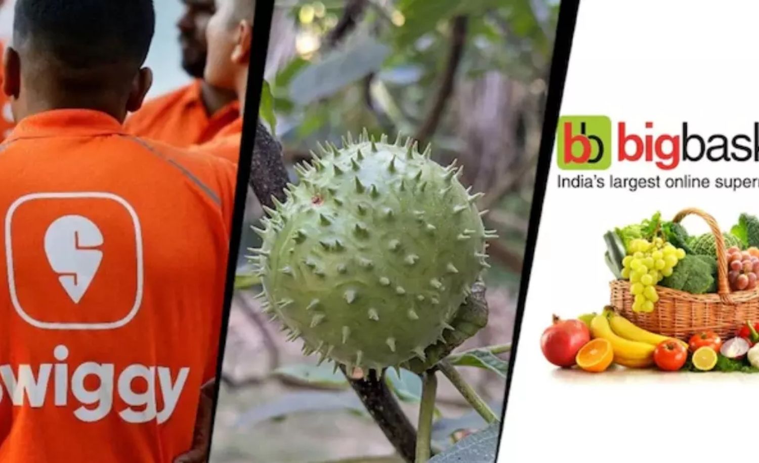 Karnataka Suspends Food Licences of Amazon, Instamart and BigBasket Over Datura Sales