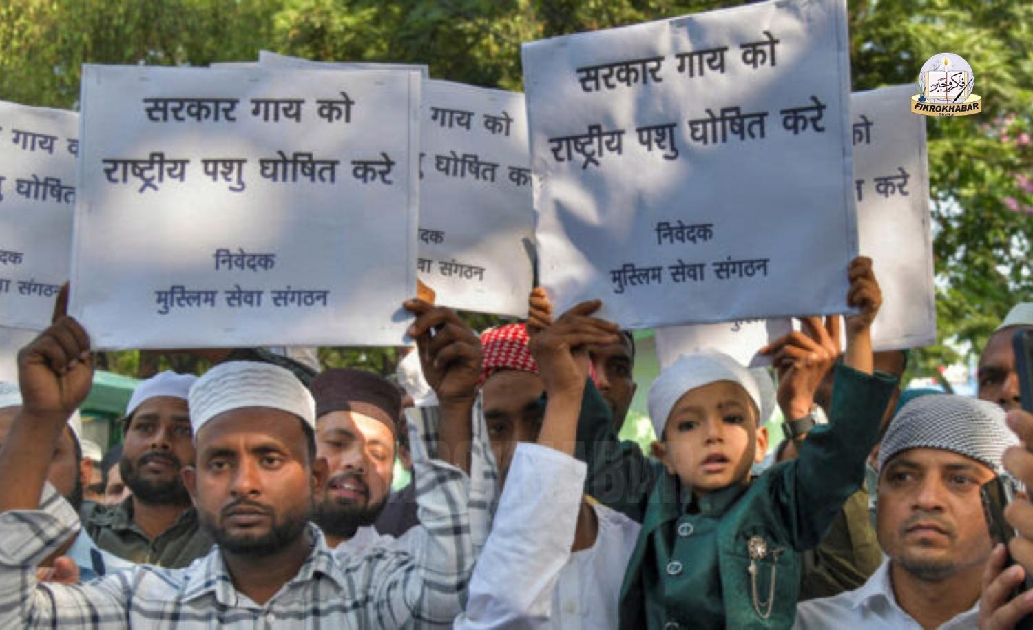 Muslim Organizations and Clerics Demand National Animal Status for Cow to Promote Harmony