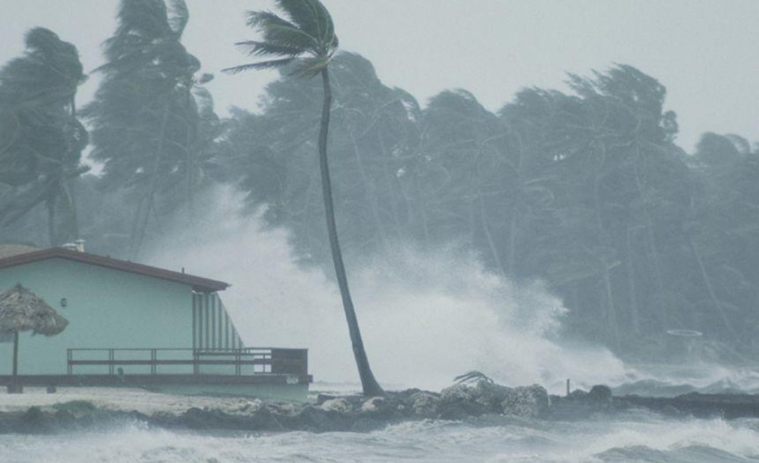 Uttara Kannada on High Alert as Heavy Rain and Strong Winds Forecast Till July 9