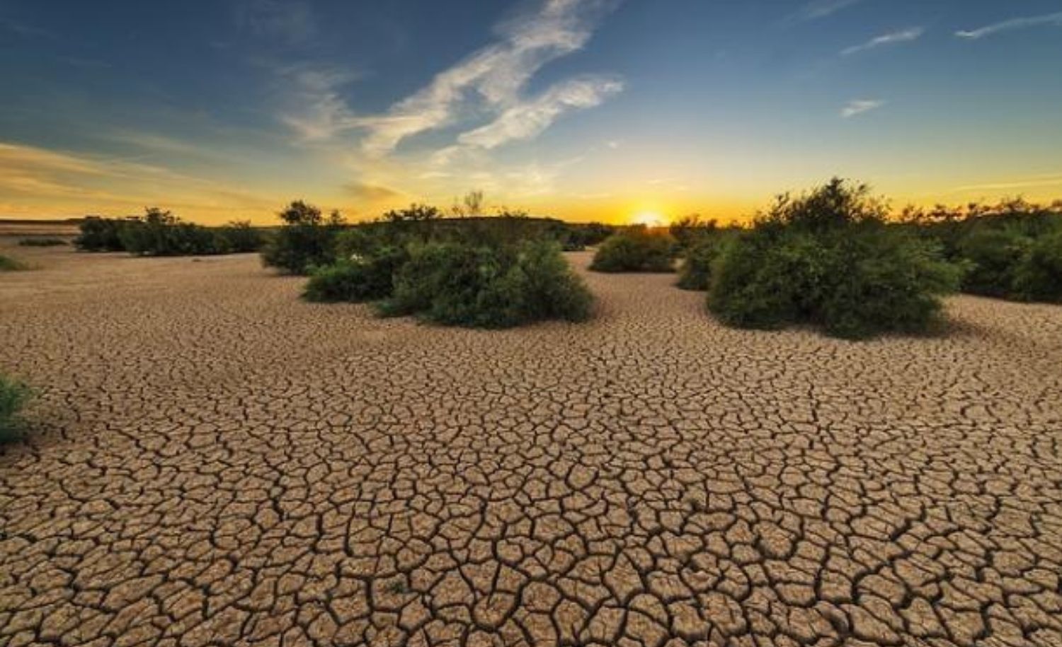Bhatkal Among Six Uttara Kannada Taluks Added to Drought Affected List