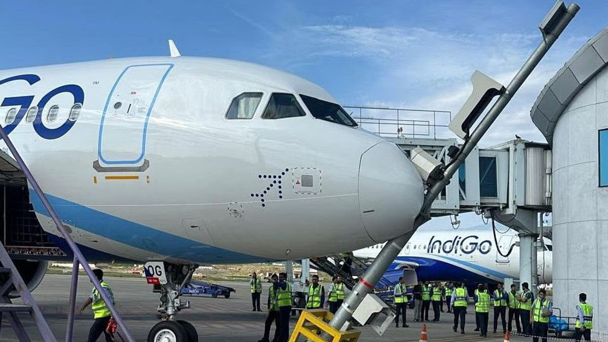 IndiGo Aircraft Hits Docking System Pole at Srinagar Airport, All Passengers Safe