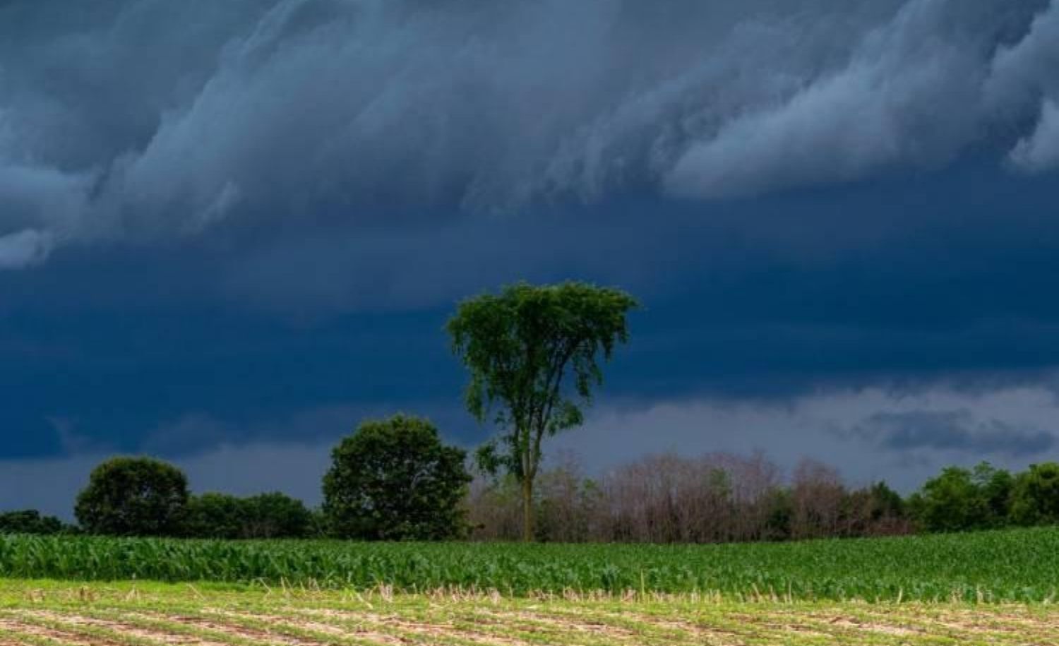 Karnataka Faces Rainfall Shortfall as Monsoon Remains Weak, Raising Drought Concerns