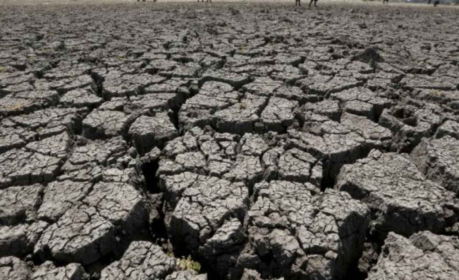 Karnataka Faces Water and Power Shortage Risk as September Rainfall Deficit Hits 81 Percent