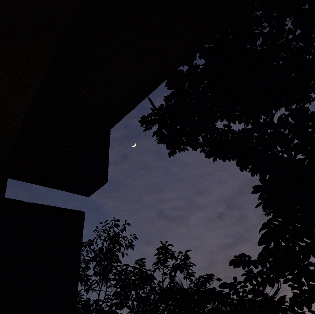 EID MUBARAK            كل عام وانتم بخير