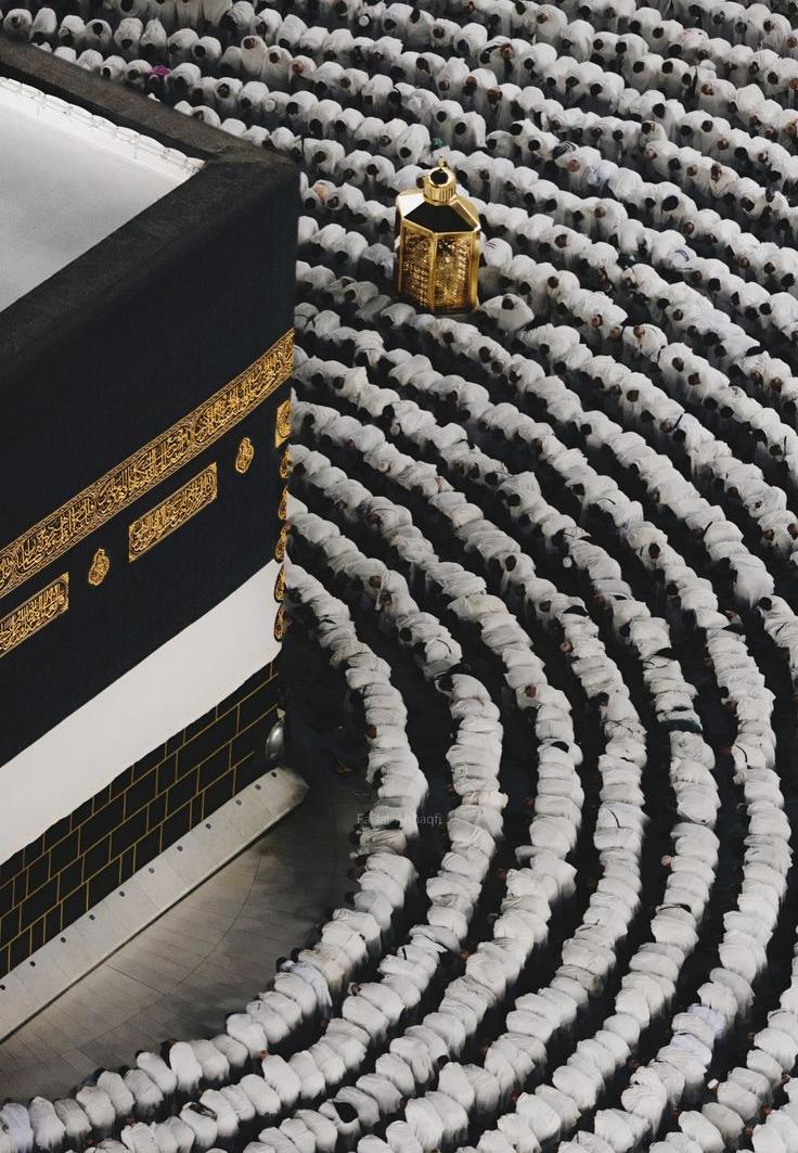 From Dust to Life Again: A Reflection on Surah Al‐Hajj –(22:5–7)