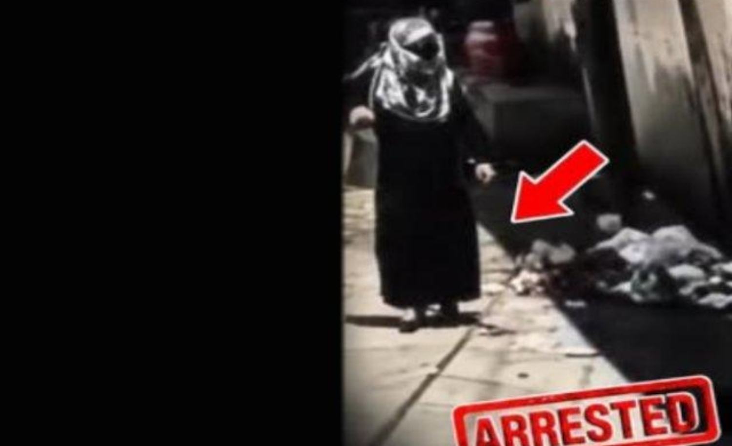Woman in Burqa Who Dumped Meat in Hindu Locality Identified as Non Muslim, Police Probe Possible Conspiracy